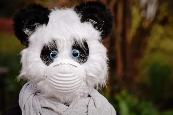 Casino Cyber Bingo Ënnerstëtzung